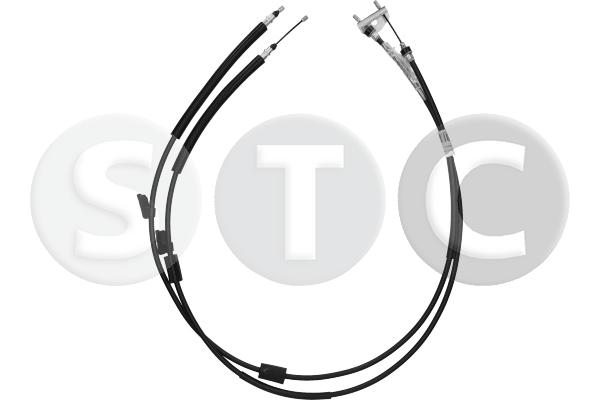 T481842