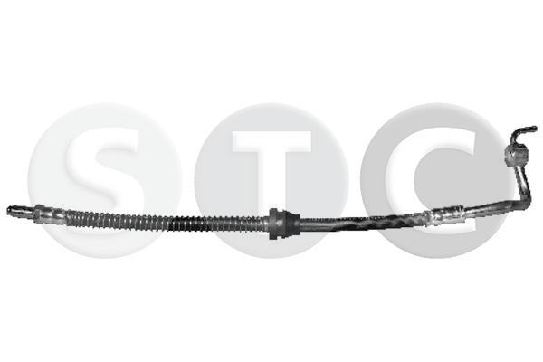 T496081