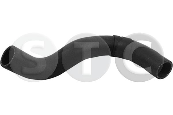 T497306