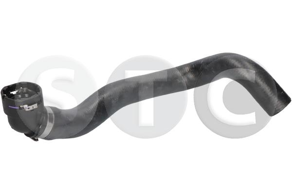 T495069