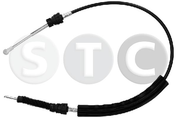 T486031