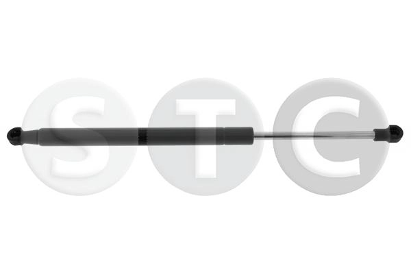 T446334