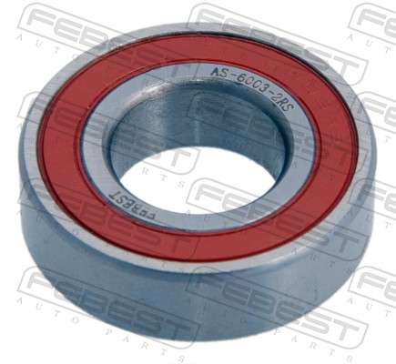 AS-6003-2RS