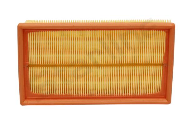 SF VF2081