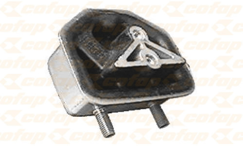 CXC04121