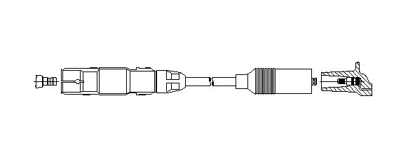 N10418604