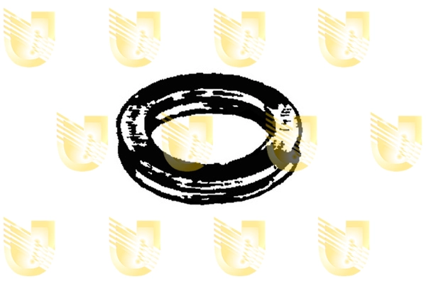 21013505033