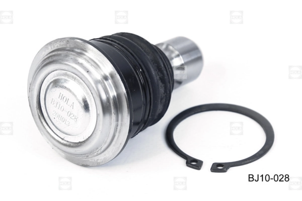 BJ10028