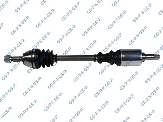 GSP-210009