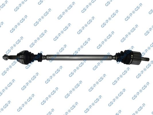 GSP-210013