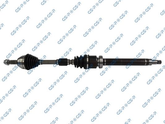 GSP-218380