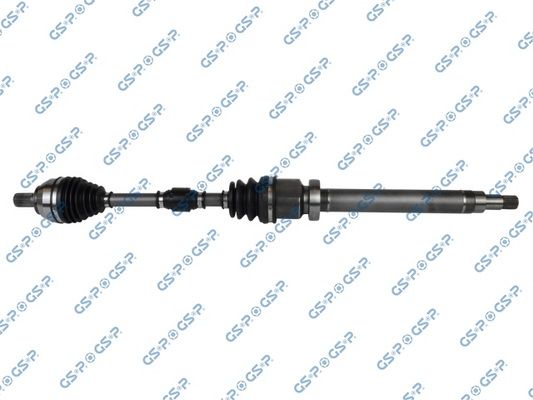 GSP-218262
