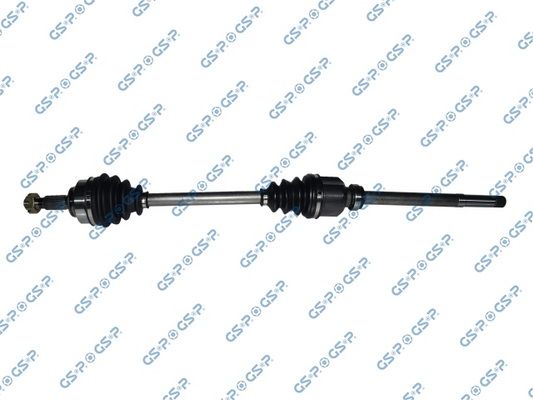 GSP-210239