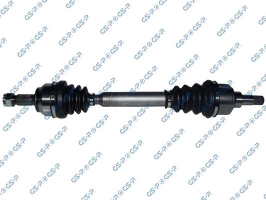 GSP-245138
