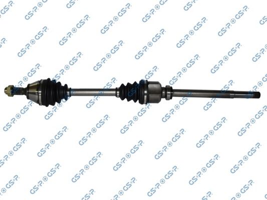 GSP-245198