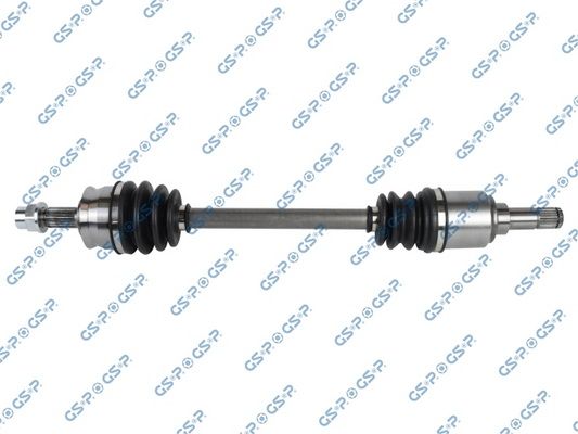 GSP-217181