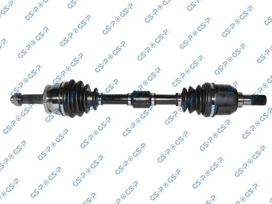GSP-224290