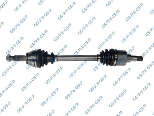 GSP-218216