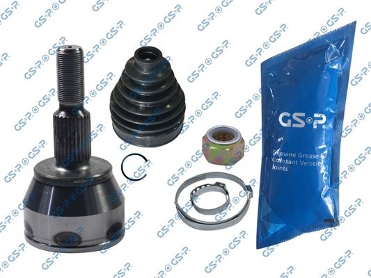 GSP-818244