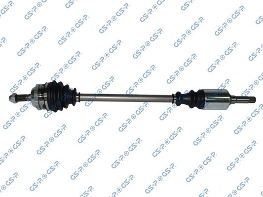 GSP-210042