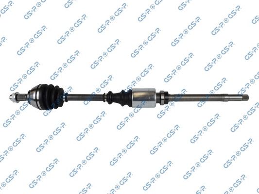 GSP-210015