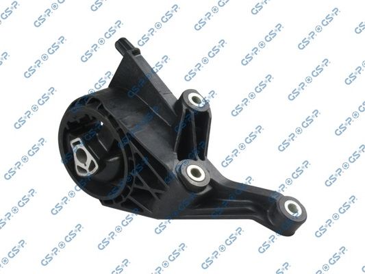 GSP-531869