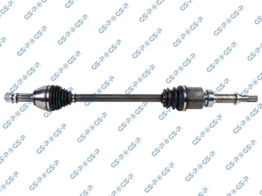 GSP-241494