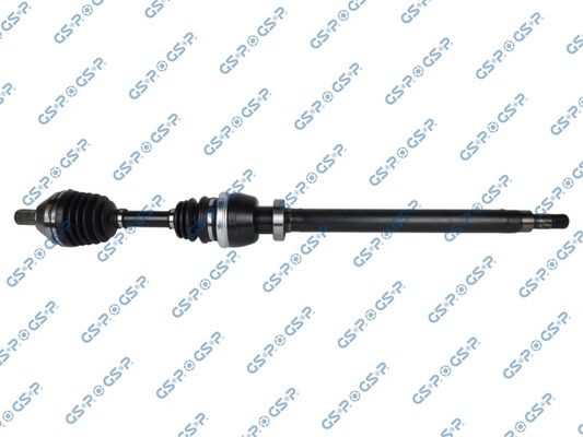 GSP-218348