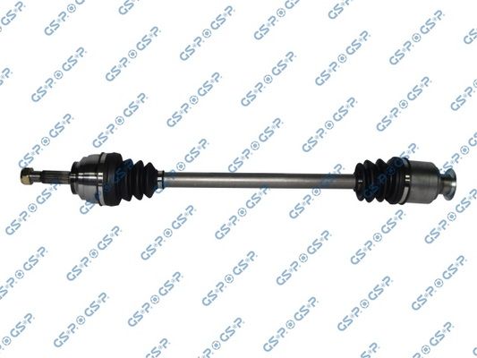 GSP-250173