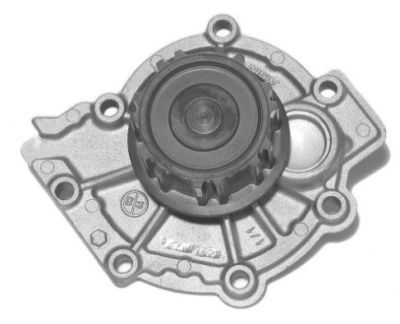 AIS-WV005