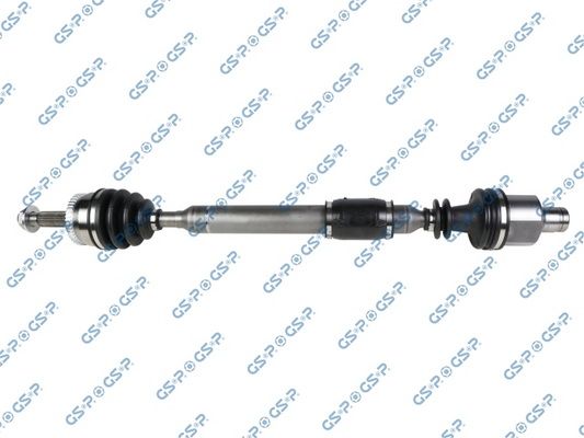 GSP-250421