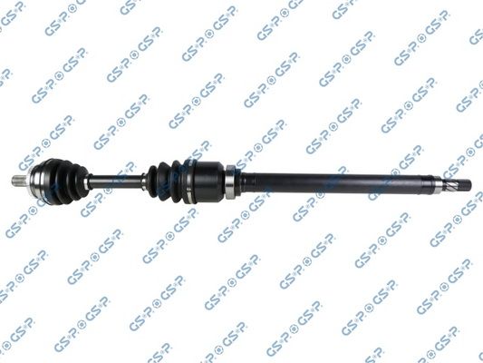 GSP-262031