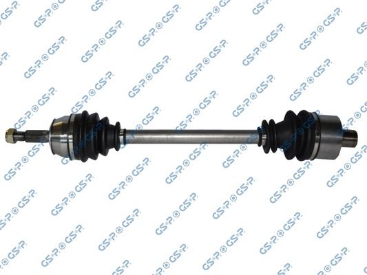 GSP-250300