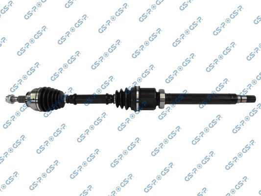 GSP-218343