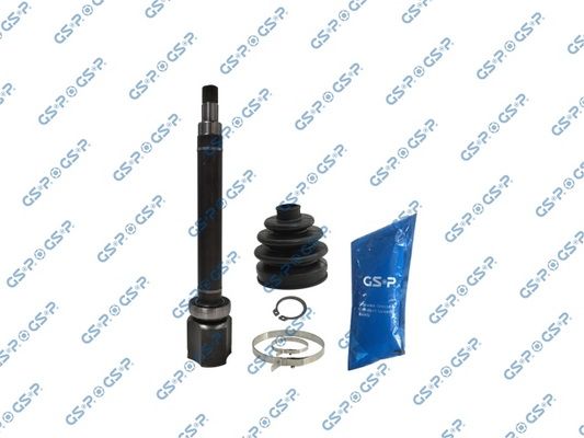 GSP-601295