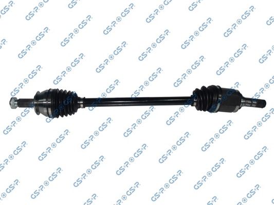 GSP-256068