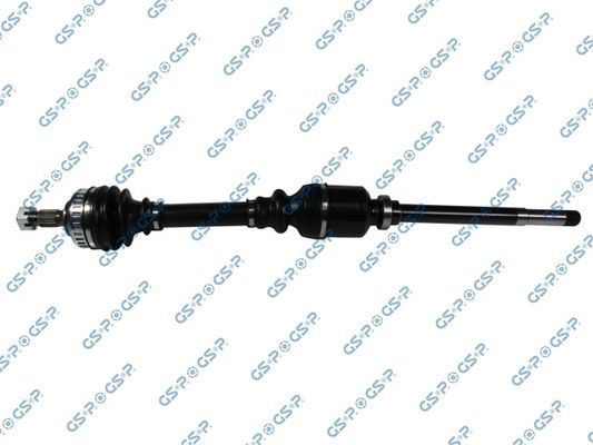 GSP-210078