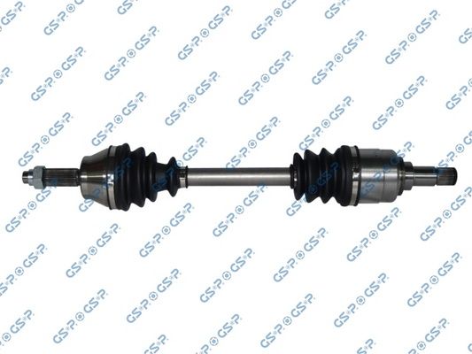 GSP-218118