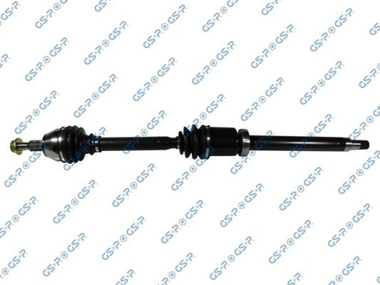 GSP-218294