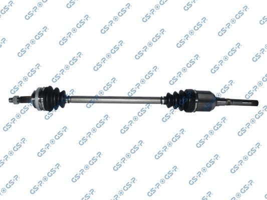 GSP-209028