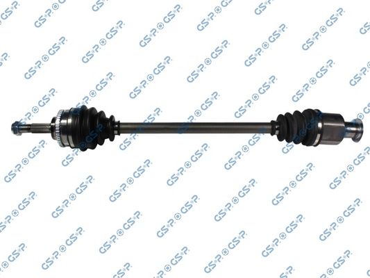 GSP-250038