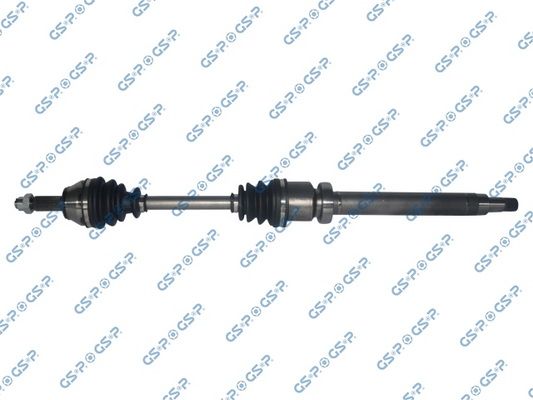GSP-218175