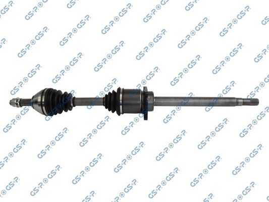 GSP-241299