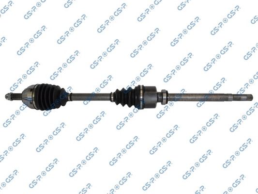 GSP-218291