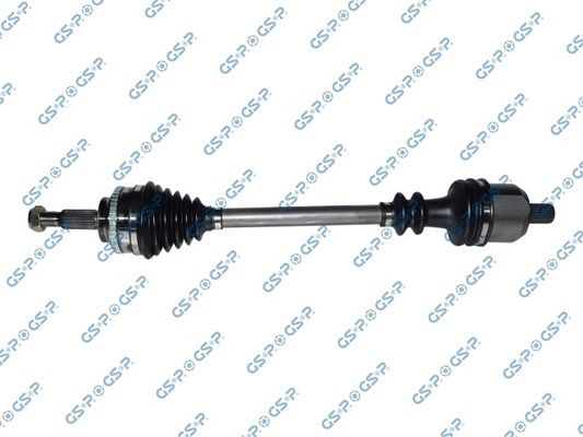GSP-250253