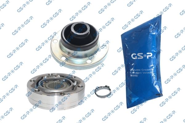 GSP-699253