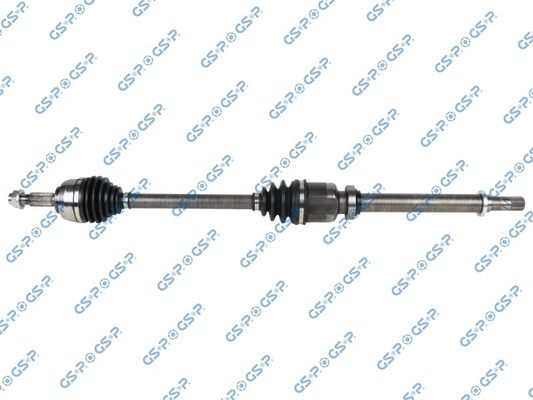 GSP-250625