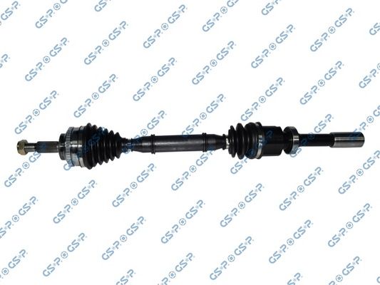 GSP-250313