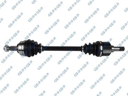 GSP-210238