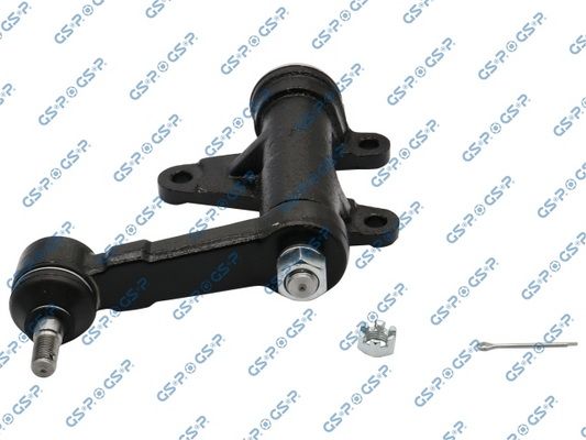 GSP-S010010